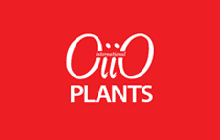 Official logo of OiiO Plants